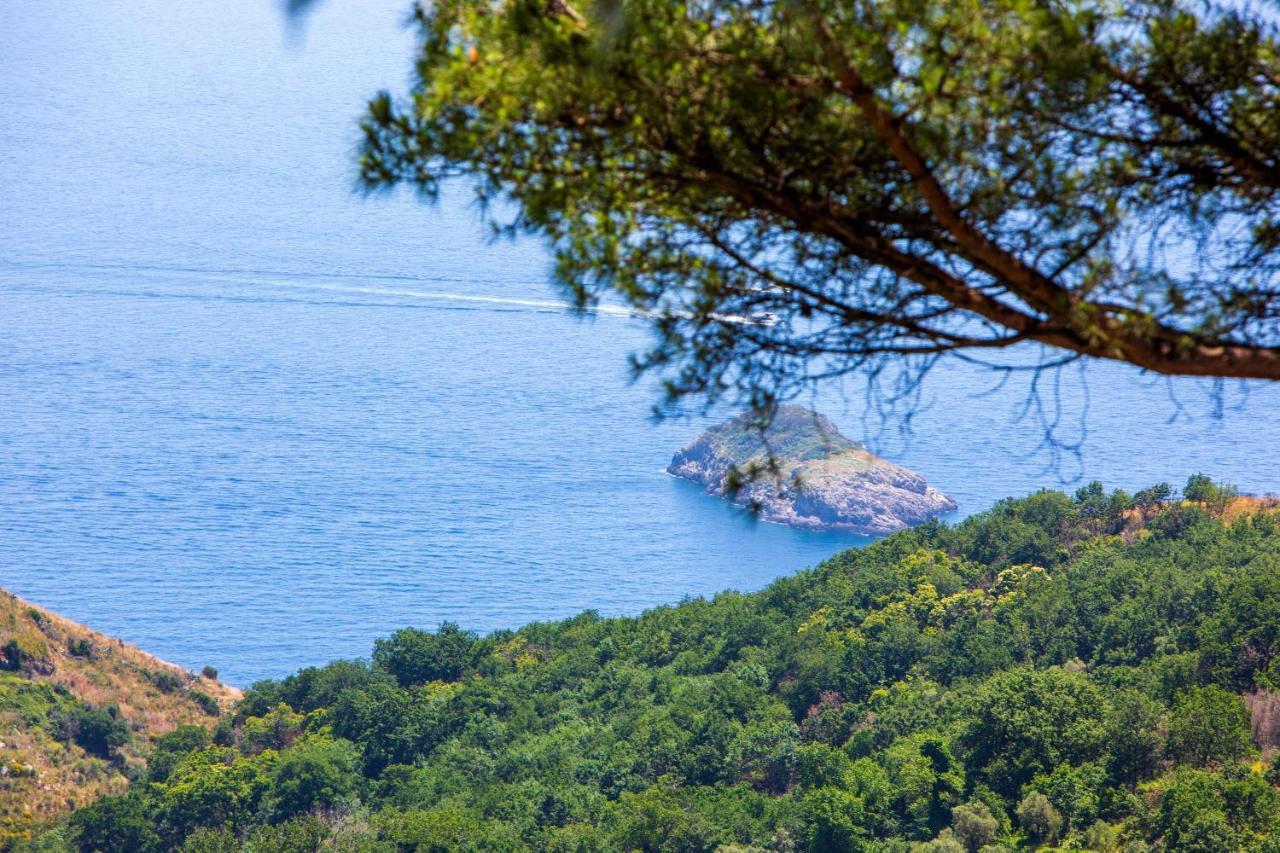 Villa Fedora Sea&Stars Massa Lubrense Eksteriør billede